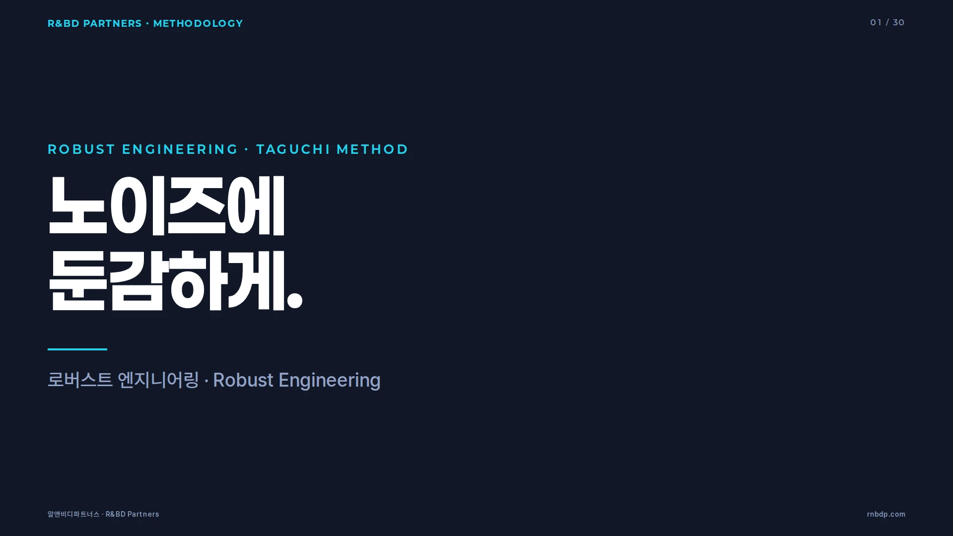로버스트 엔지니어링 커버 · R&BD Partners Methodology Deck